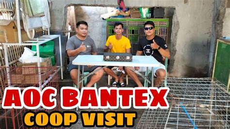 mananari ng manok in english|manyak in English .